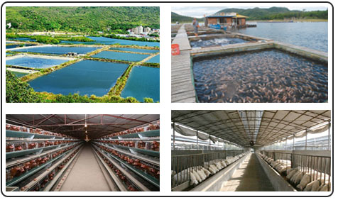 養(yǎng)殖場環(huán)境監(jiān)測系統(tǒng)