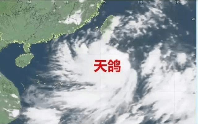 “天鴿”來臨，因安裝低質(zhì)報(bào)警器損失10萬