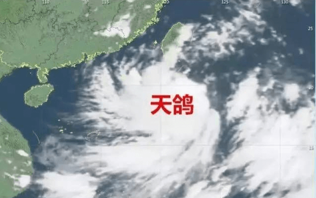 “天鴿”來臨，因安裝低質(zhì)報警器損失10萬